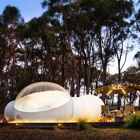 Skyview Bubbletent Eganstown Exterior foto